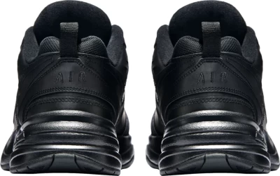 Кроссовки NIKE AIR MONARCH 415445-001