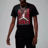 Футболка Nike Air Jordan Brand Jumpman Stack SS Crew FN5978-010 в Москве 