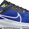 Кроссовки NIKE AIR ZOOM PEGASUS 40 WIDE DV7480-401