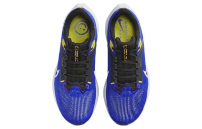 Кроссовки NIKE AIR ZOOM PEGASUS 40 WIDE DV7480-401