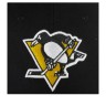 Бейсболка AMERICAN NEEDLE SMU652A-PPN Pittsburgh Penguins Stadium NHL (черный) 06-765-09-00