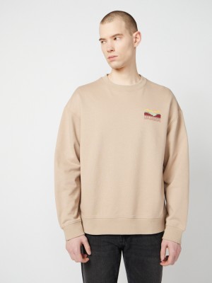 Толстовка Lee Cooper LC-SWT-334MSS/SAF