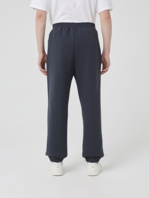 Брюки спортивные Lee Cooper LC-SWP-014MFW/DSH