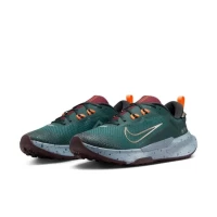 Кроссовки Nike Juniper Trail 2 Gore-Tex FB2067-300 в Москве  в Москве 