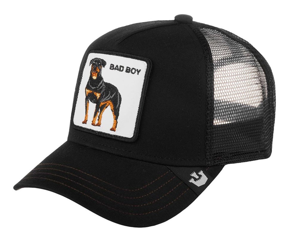 Бейсболка GOORIN BROTHERS ANIMAL FARM NAUGHTY PUP 201-0035 (черный) 91-732-09-00 в Москве  в Москве 