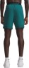 Шорты Under Armour UA Vanish Woven 6in Shorts 1373718-338 в Москве  в Москве 