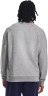 Джемпер Under Armour UA Rival Fleece Crew 1379755-025 в Москве  в Москве 