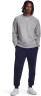Джемпер Under Armour UA Rival Fleece Crew 1379755-025 в Москве  в Москве 