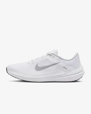 Кроссовки NIKE AIR WINFLO 10 DV4022-102