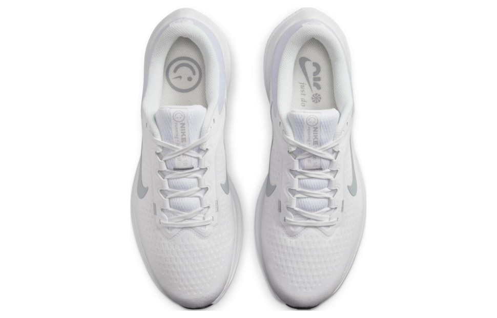 Кроссовки NIKE AIR WINFLO 10 DV4022-102