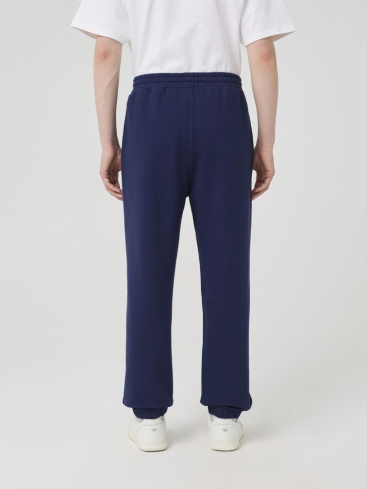 Брюки спортивные Lee Cooper LC-SWP-015MFW/NV в Москве в Москве