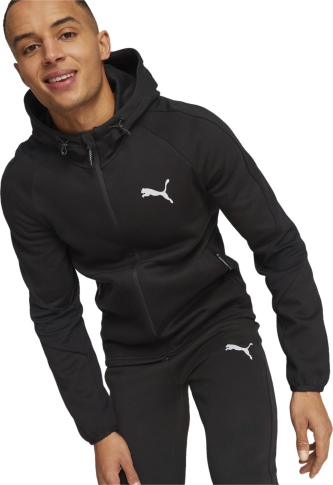 Толстовка Puma EVOSTRIPE Full-Zip Hoodie DK 67331301 в Москве  в Москве 