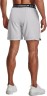 Шорты Under Armour UA Vanish Woven 6in Shorts 1373718-014 в Москве в Москве