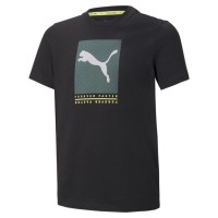 Футболка Puma Active Sports Graphic Tee B 84699351 в Москве  в Москве 