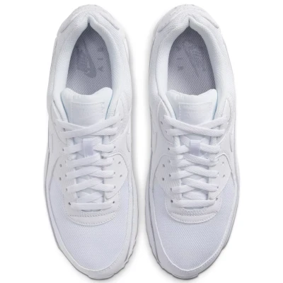 Кроссовки Nike AIR MAX 90 365 CN8490-100