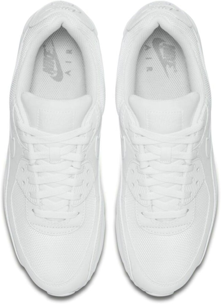 Кроссовки Nike AIR MAX 90 365 CN8490-100