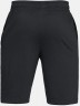 Шорты Under Armour SPORTSTYLE RIVAL SHORT Black /  / Black 1320733-001 в Москве  в Москве 