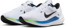 Кроссовки Nike Winflo 10 DV4022-103