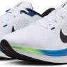 Кроссовки Nike Winflo 10 DV4022-103