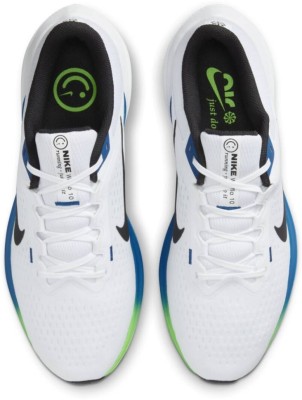 Кроссовки Nike Winflo 10 DV4022-103