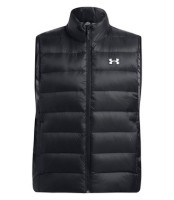Жилет Under Armour LEGEND DOWN VEST 1385838-001 в Москве  в Москве 