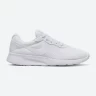 Кроссовки Nike Tanjun DJ6257-104