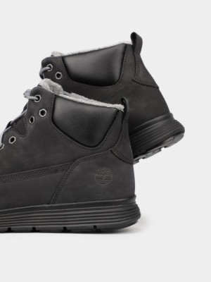 Ботинки Timberland TBLA2DNQW