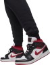 Брюки Nike Jordan M J Ess Flc Baseline Pant FD7345-010 в Москве  в Москве 