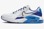 Кроссовки Nike AIR MAX EXCEE DZ0795-100
