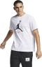 Футболка Nike JUMPMAN FLIGHT HBR TEE AO0664-100 в Москве 