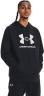 Толстовка Under Armour UA Rival Fleece Logo HD 1379758-001 в Москве в Москве