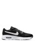 Кроссовки Nike Air Max SC Kids CZ5358-002 в Москве 