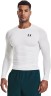 Футболка Under Armour с длинным рукавом UA HG Armour Comp LS 1361524-100 в Москве  в Москве 