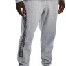 Брюки Under Armour UA RIVAL FLC GRAPHIC JOGGER 1370351-011