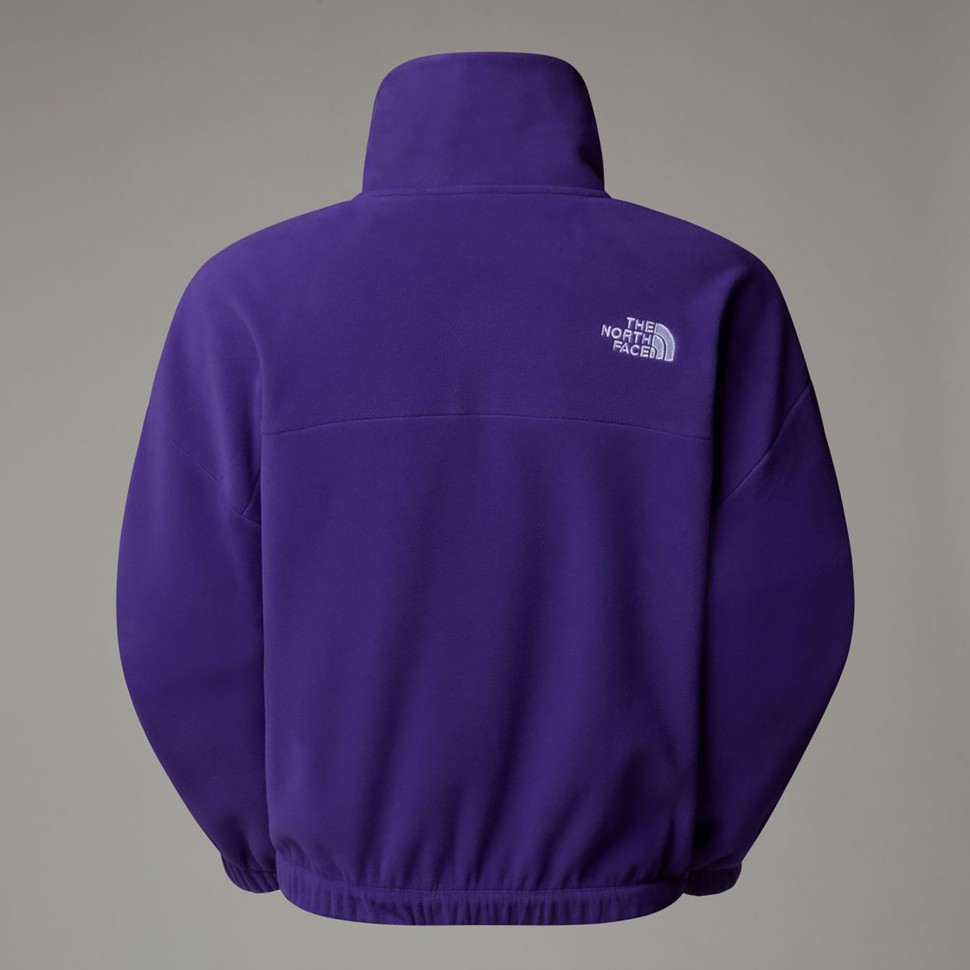 Толстовка The North Face W 100 GLACIER HALF ZIP FLEECE PEAK PURPLE NF0A89J9NL41