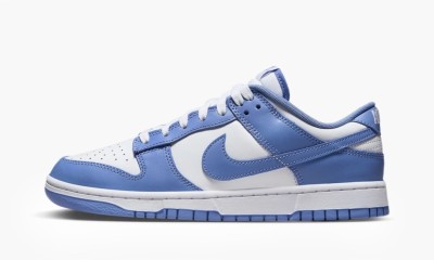 Кроссовки Nike Dunk Low &quot;Polar Blue&quot; DV0833-400