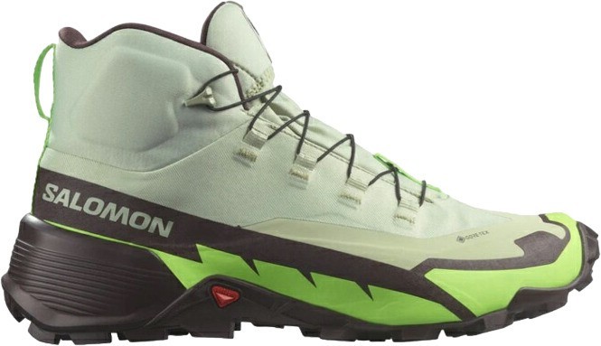 Кроссовки Salomon CROSS HIKE MID GTX 2 L47277700 Desert Sage/Green Gecko/Chocolate Plum Male в Москве  в Москве 