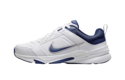 Кроссовки Nike Defy All Day  DJ1196-100