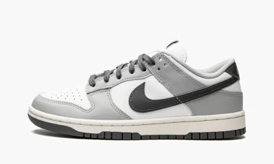 Кроссовки Nike WMNS DUNK LOW DD1503-117