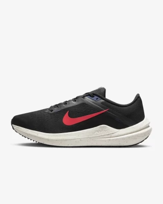 Кроссовки NIKE AIR WINFLO 10 DV4022-002