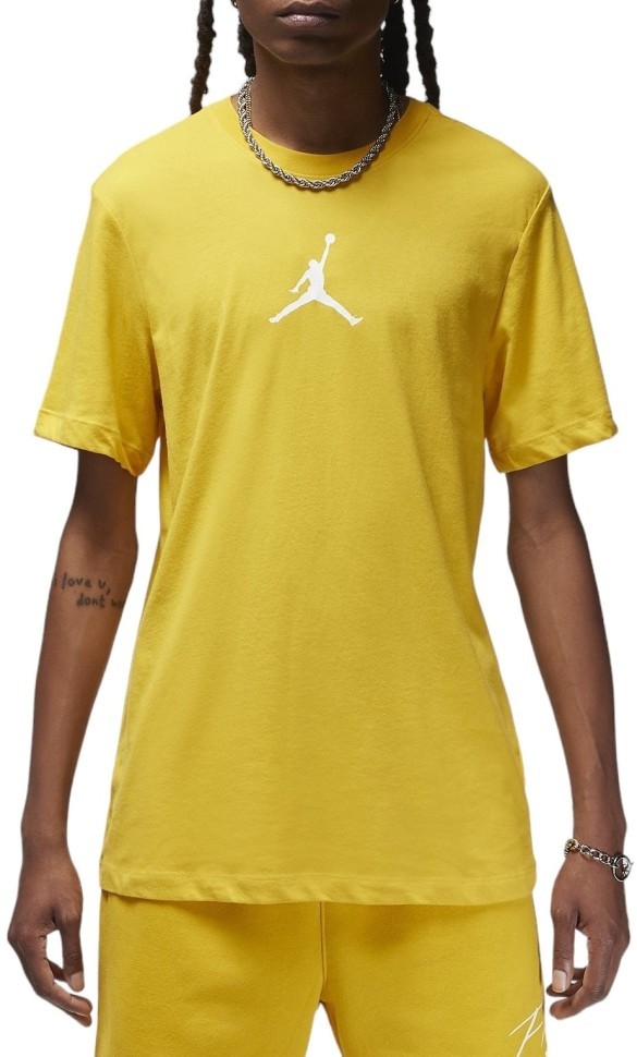 Футболка Nike M J JUMPMAN DF SS CREW CW5190-752 в Москве  в Москве 