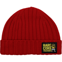 Шапка Hardcore Training Marcello Light Maroon hctcap027 в Москве  в Москве 