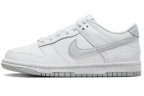 Кроссовки Nike Dunk Low GS White Pure Platinum DH9765-102 в Москве  в Москве 