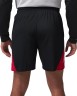 Шорты Nike M J SPT BB SHORT IQ5775-010 в Москве  в Москве 