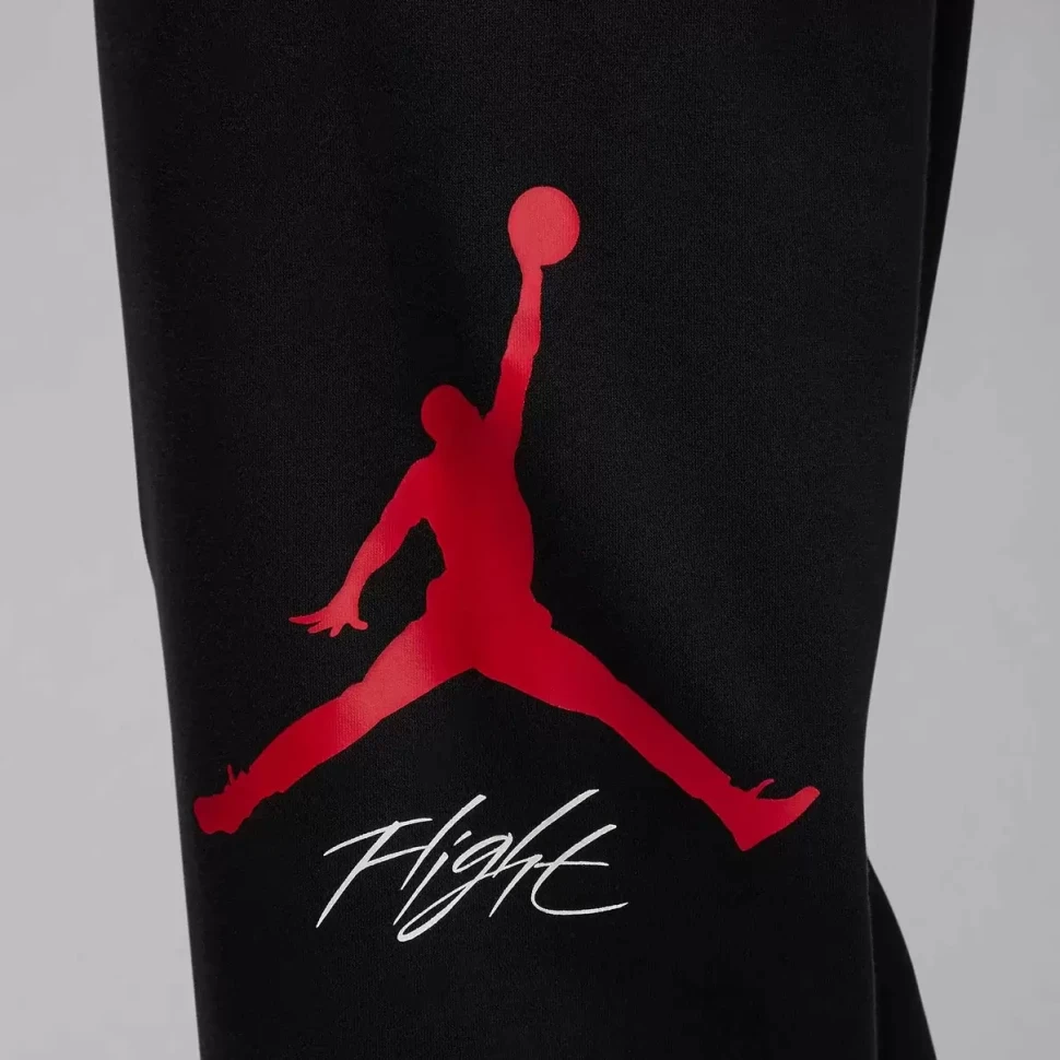 Брюки Nike M Jordan Ess Flc Baseline Pant FD7345-013 в Москве  в Москве 