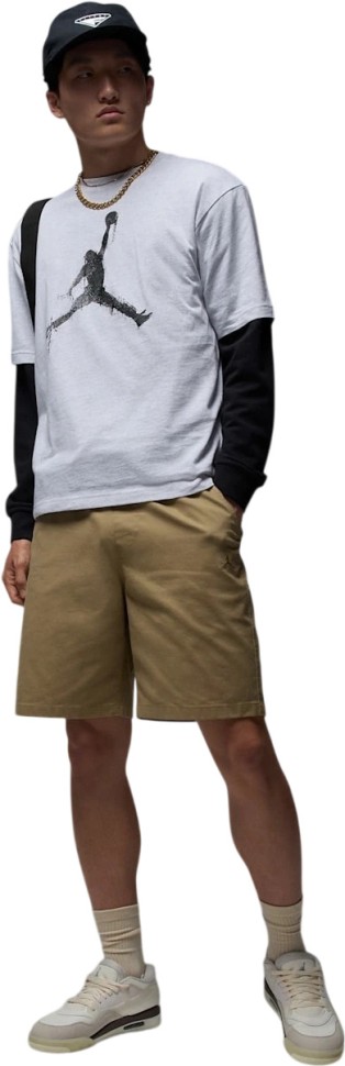 Футболка Nike M J BRK COL JUMPMAN SS CREW HQ8925-051 в Москве  в Москве 