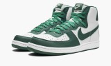 Кеды Nike Terminator High FD0650-100